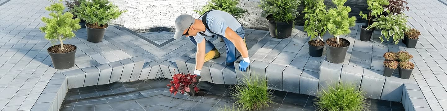 Landscaping (Yard Cleanup, Basic Hardscaping)