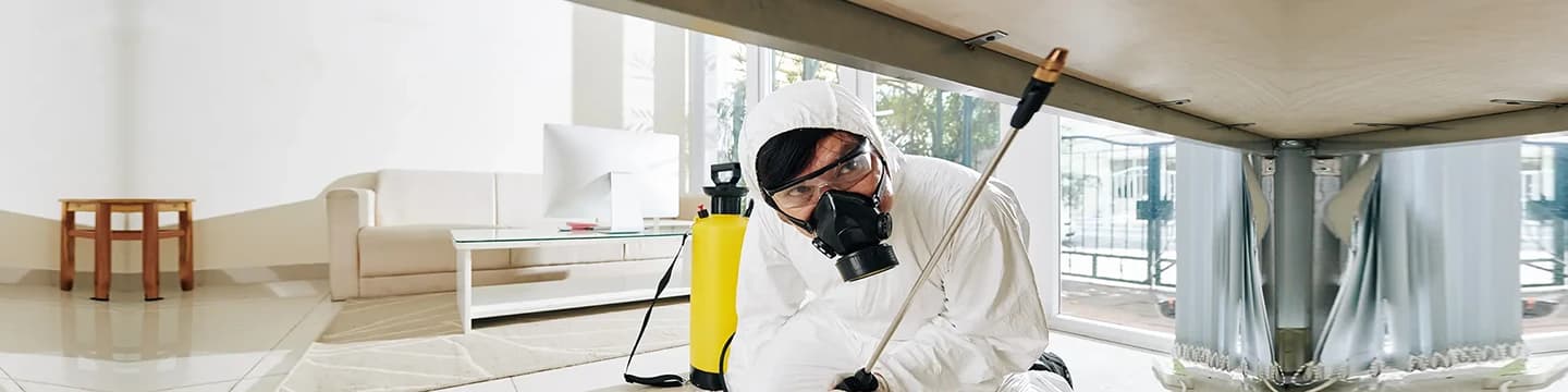 Pest Control (Termites, Rodents, General)